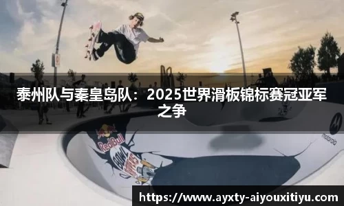 泰州队与秦皇岛队：2025世界滑板锦标赛冠亚军之争