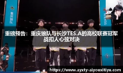 爱游戏官网